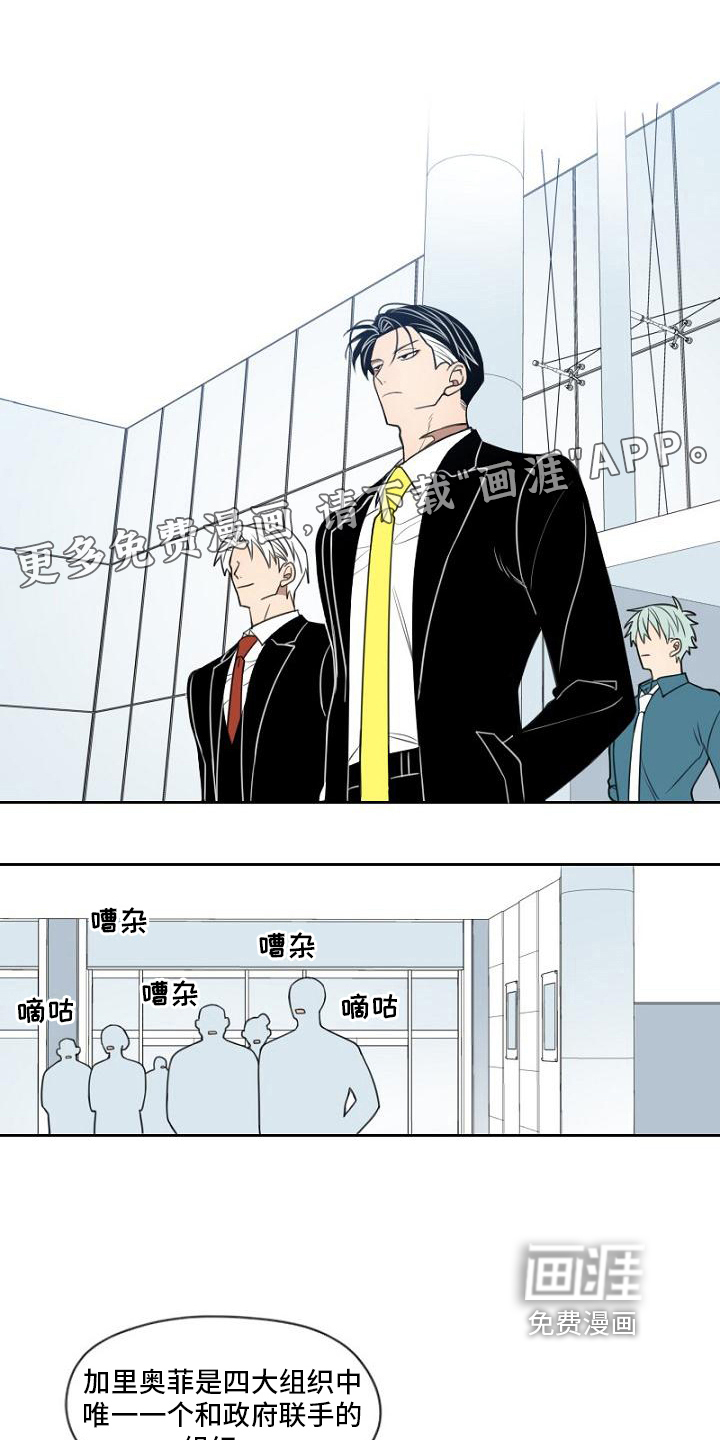 强势的幸福第17话图