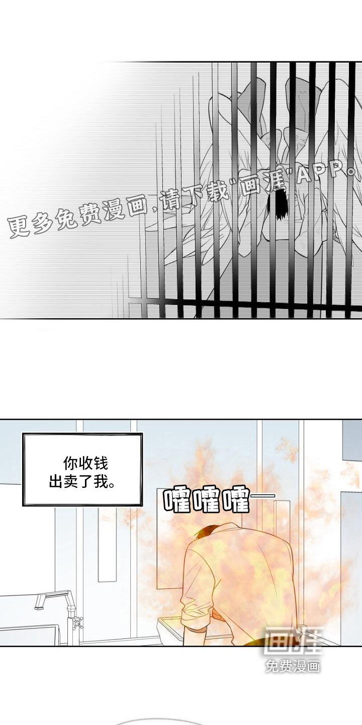 强势的幸福第9话图