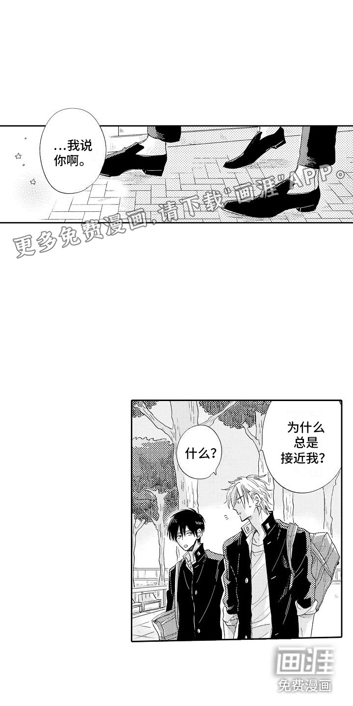 前辈的追随者第10话图