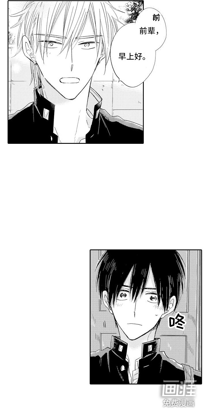 前辈的追随者第12话图