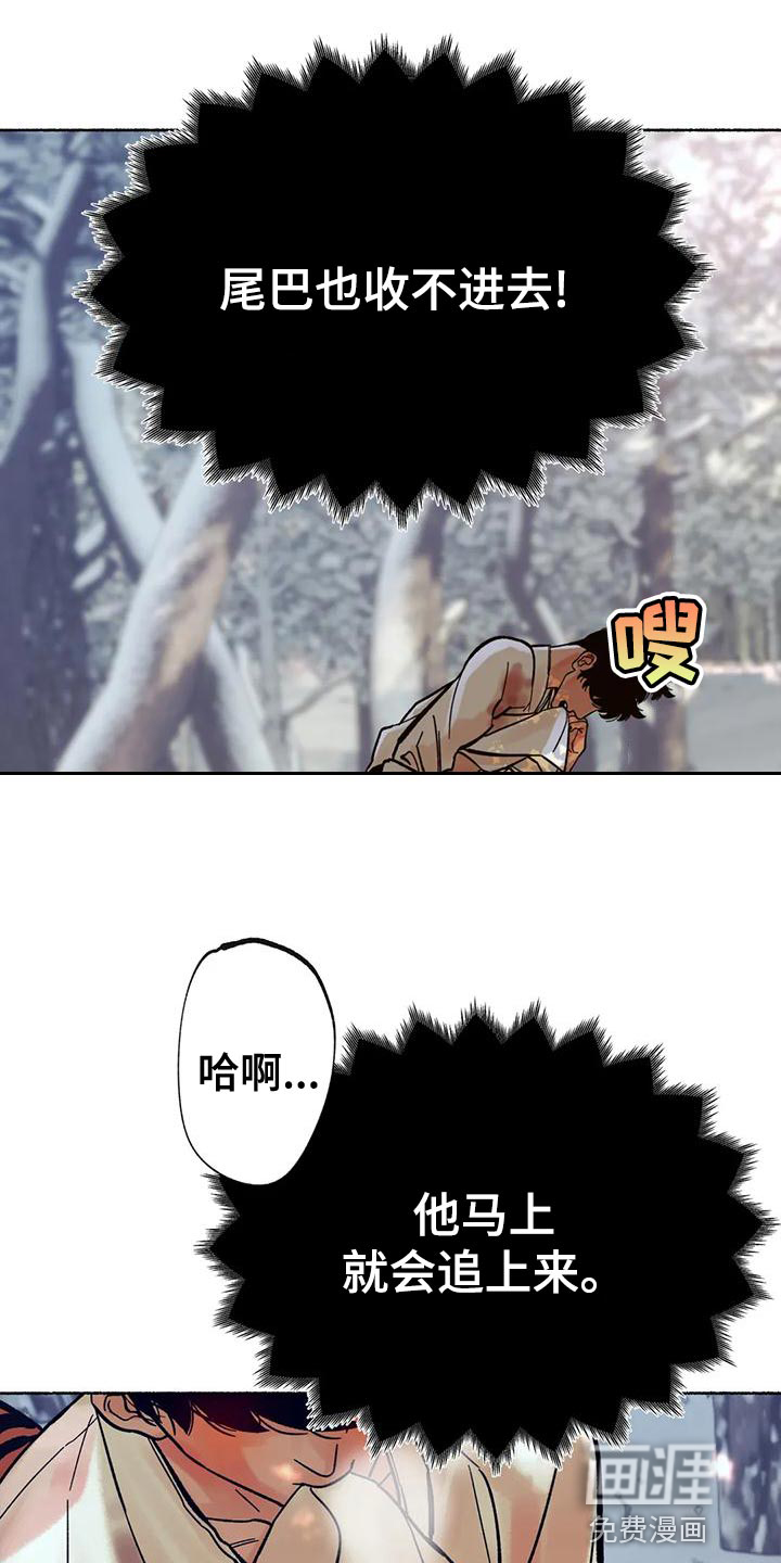 千年虎第19话图