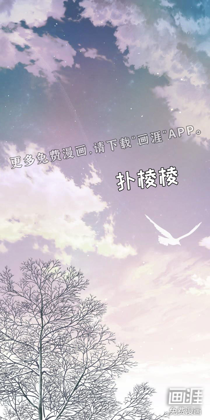 情人节特刊第15话图