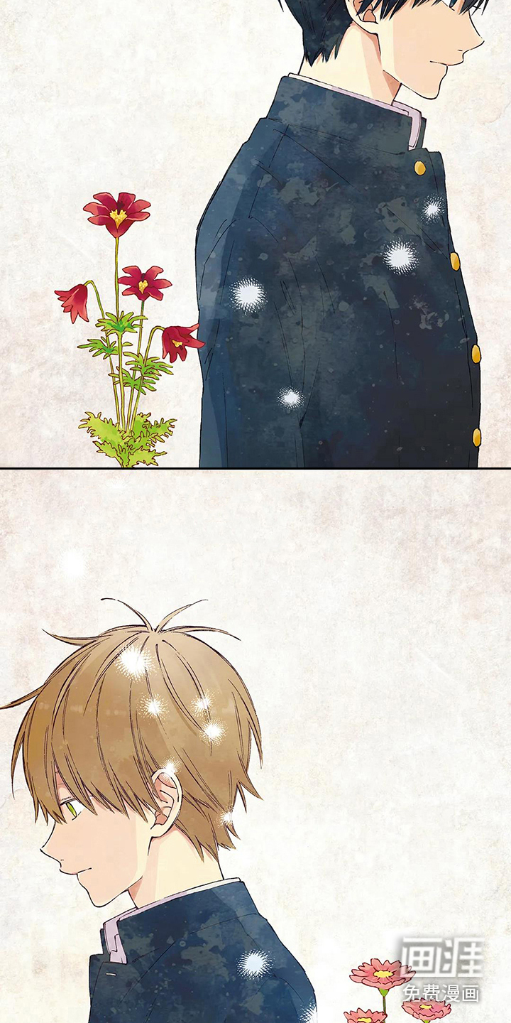 情感失联第14话图