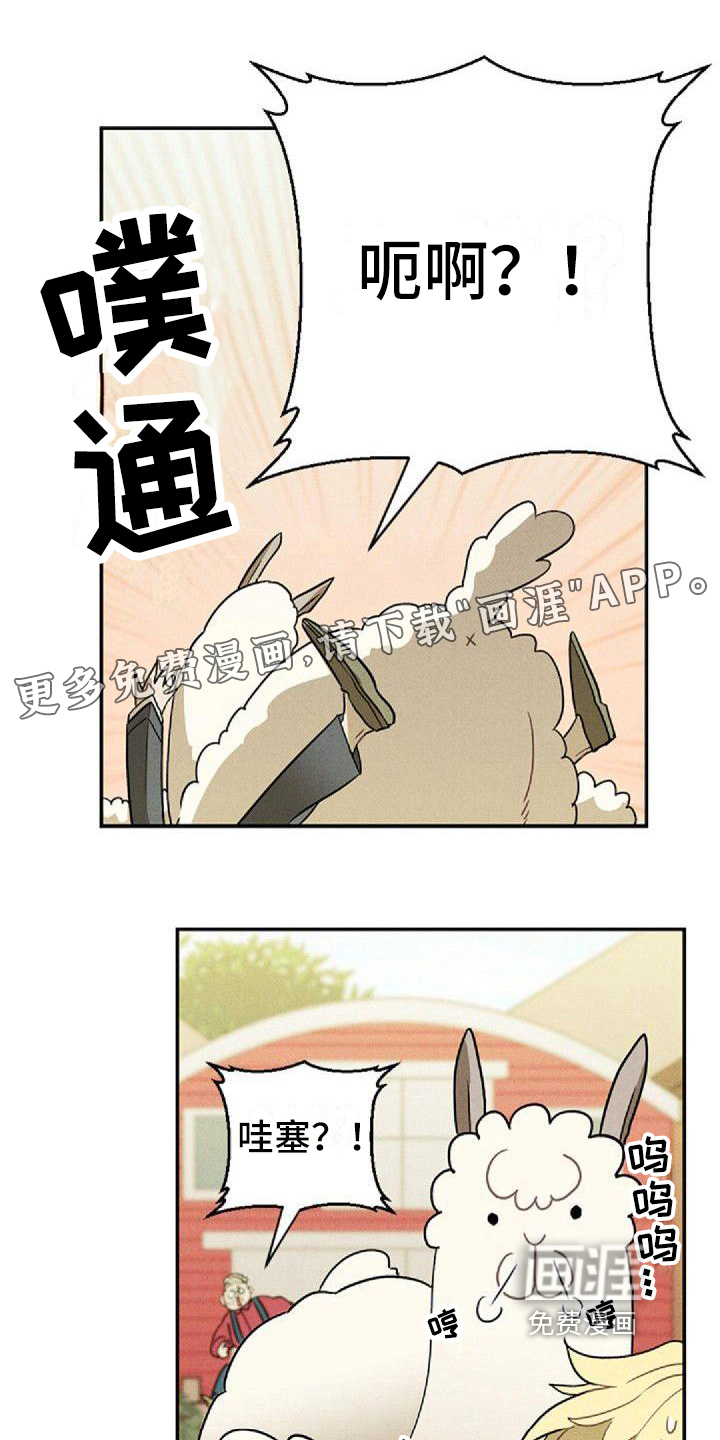 情感的爆发第14话图