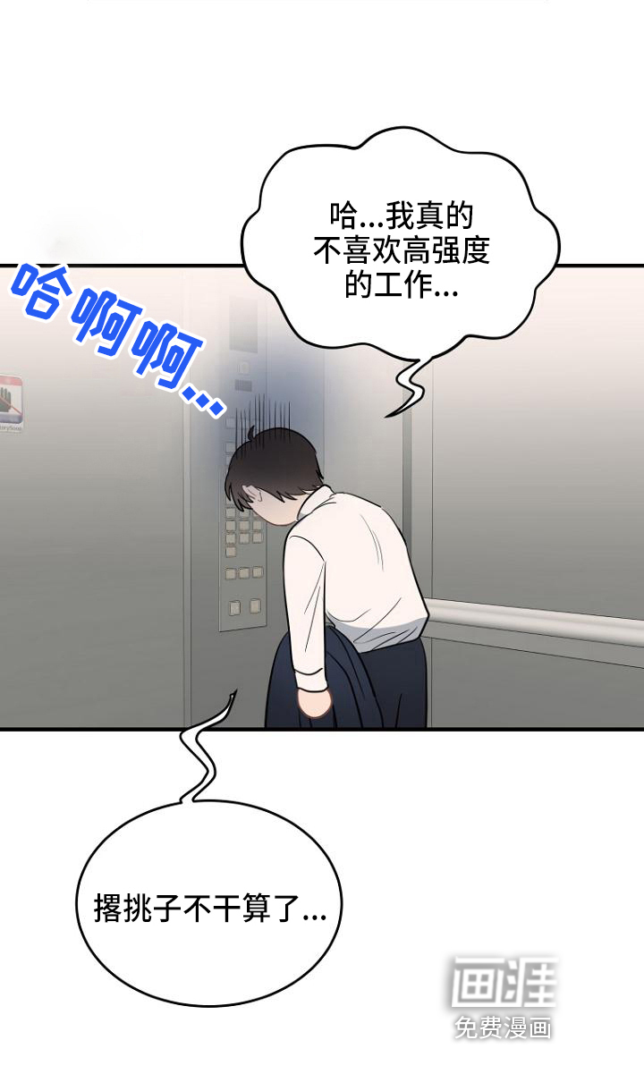 期待的周日第11话图
