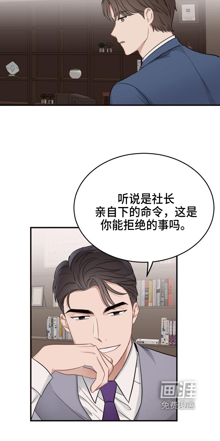 期待的周日第15话图