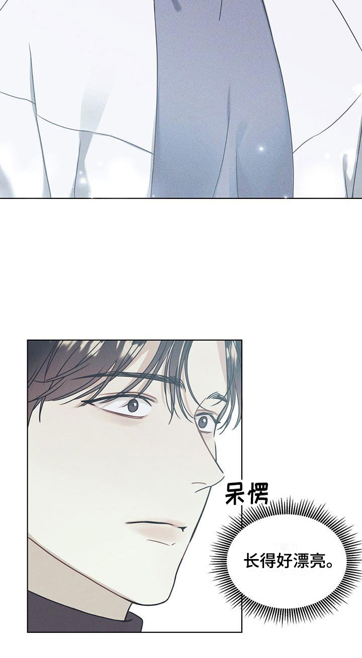 琴音我的畏惧第1话图