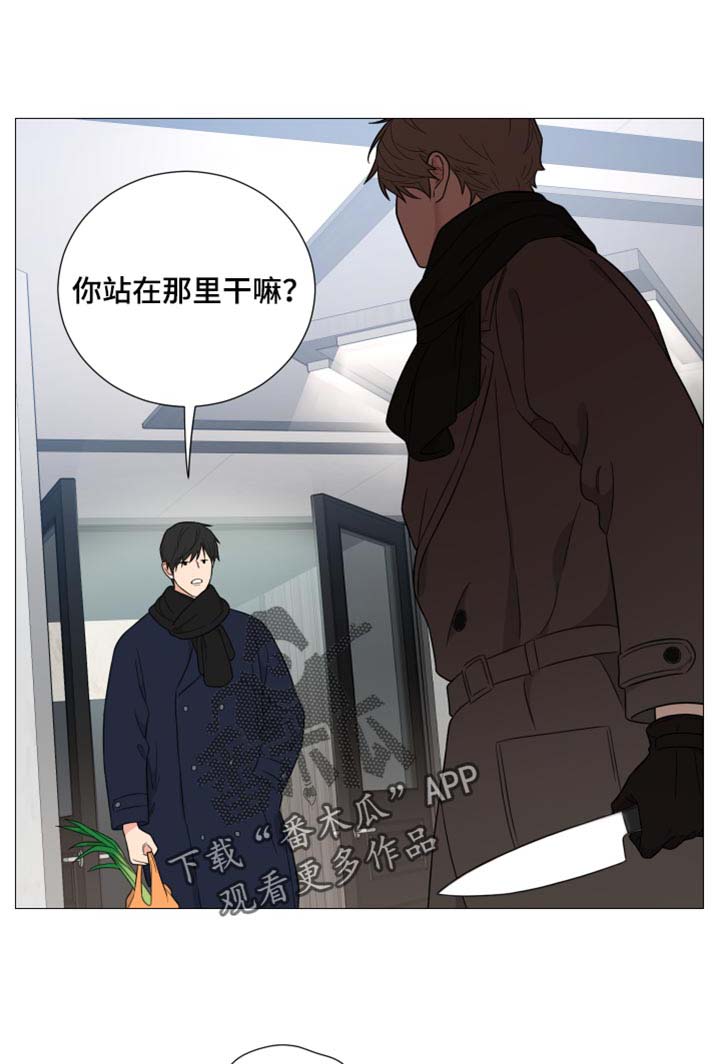 囚笼之爱第28话图