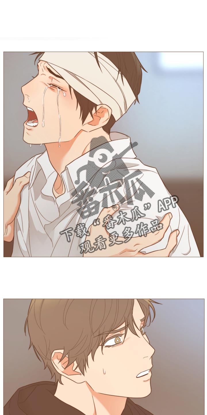 囚笼之爱第40话图