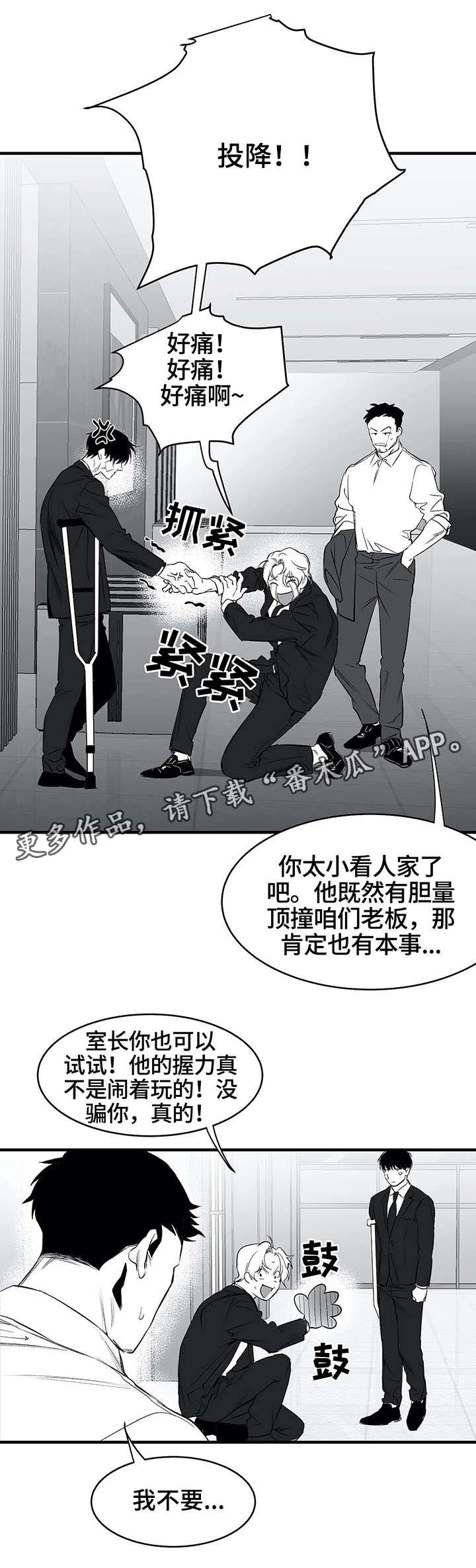 拳击手第10话图