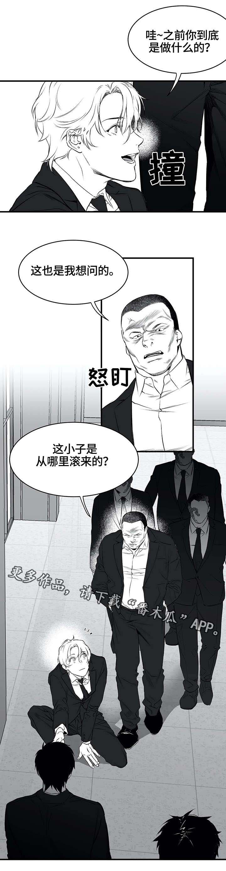 拳击手第11话图