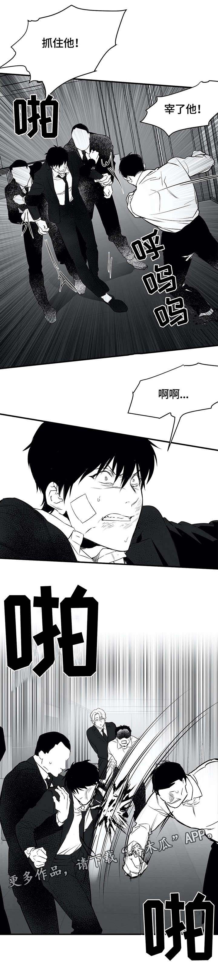 拳击手第12话图