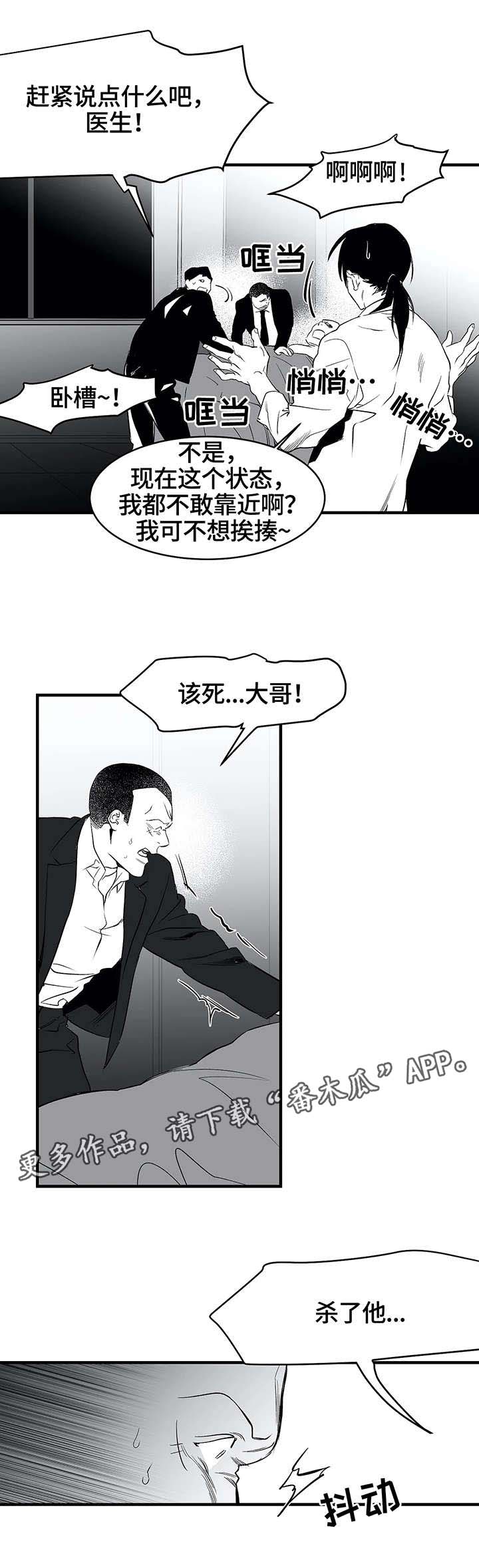 拳击手第13话图