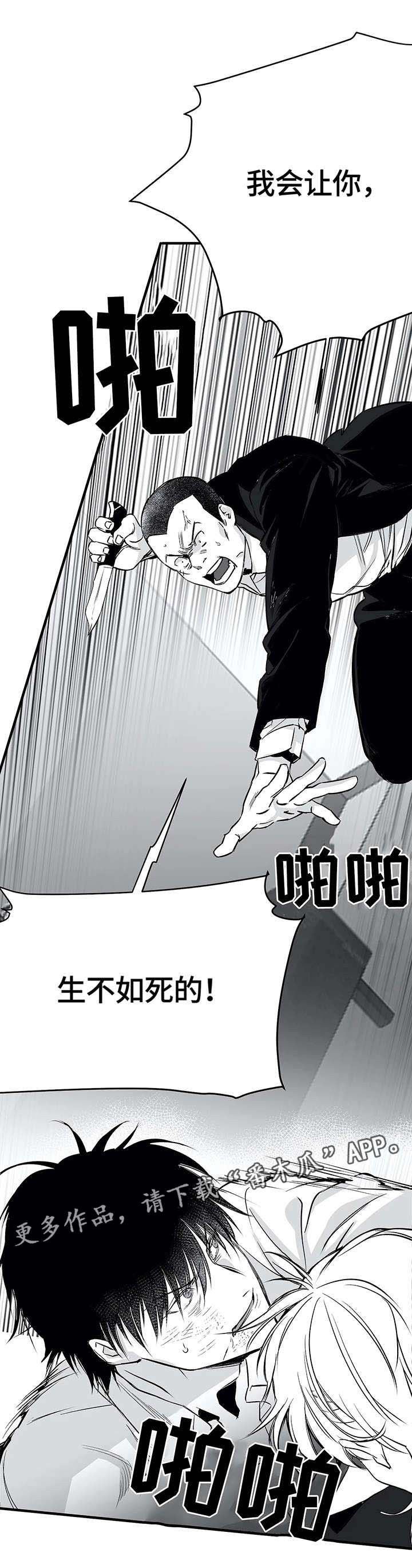 拳击手第15话图