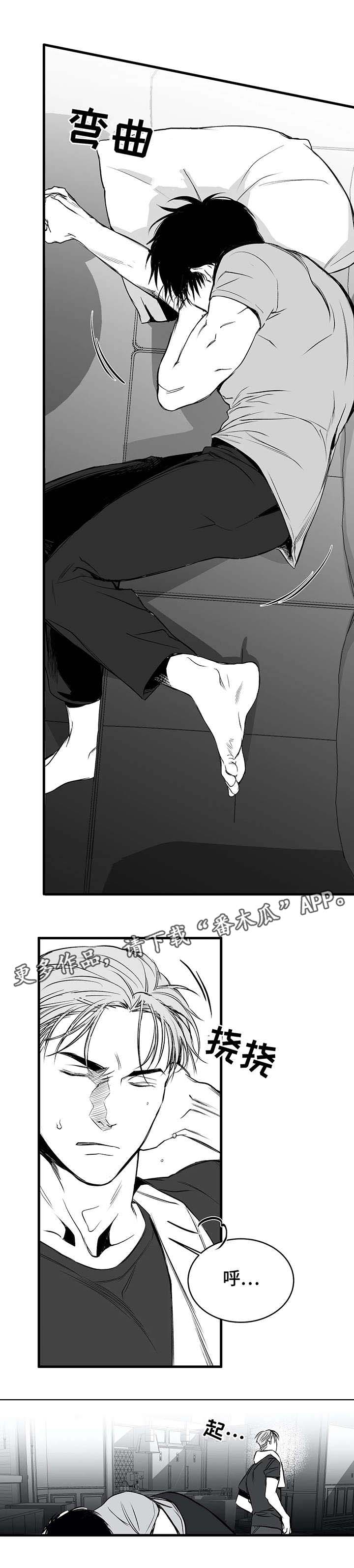 拳击手第17话图