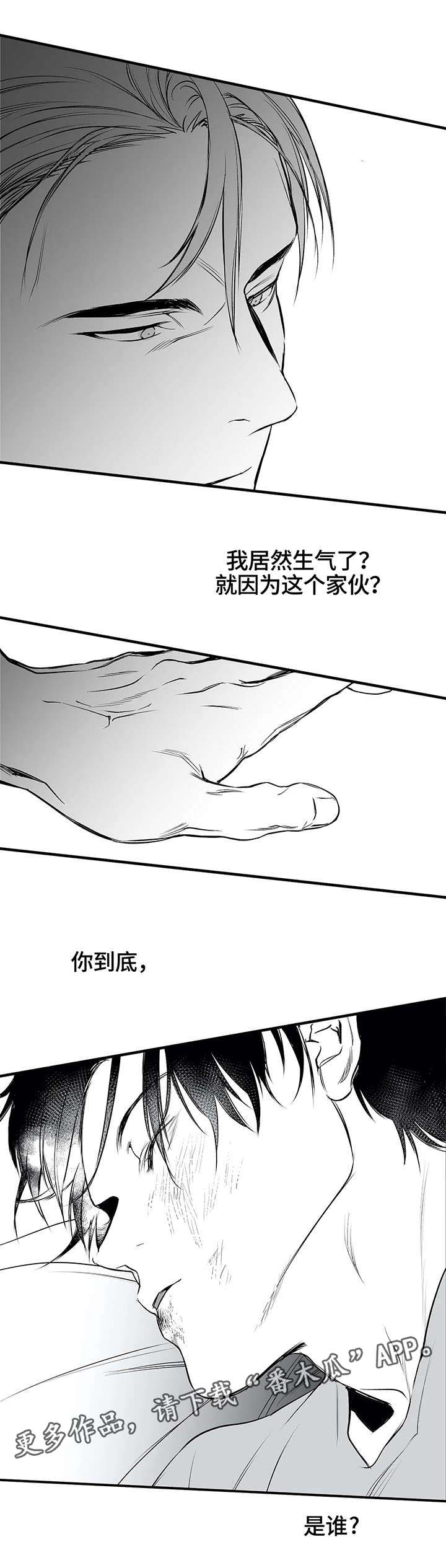 拳击手第18话图