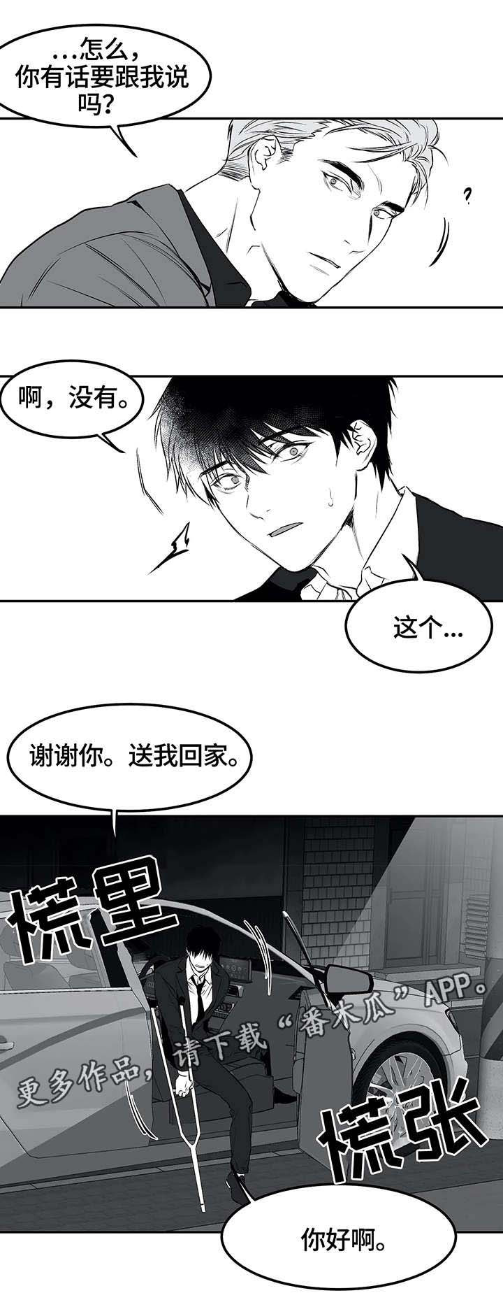 拳击手第20话图