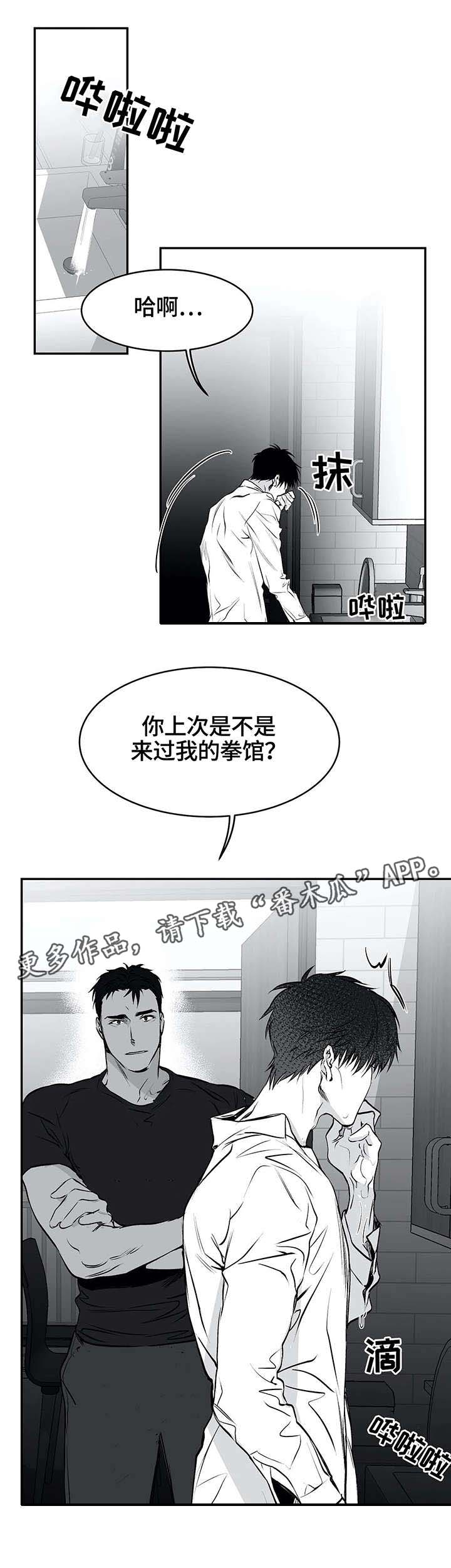 拳击手第21话图