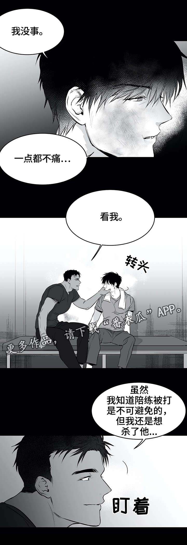 拳击手第22话图
