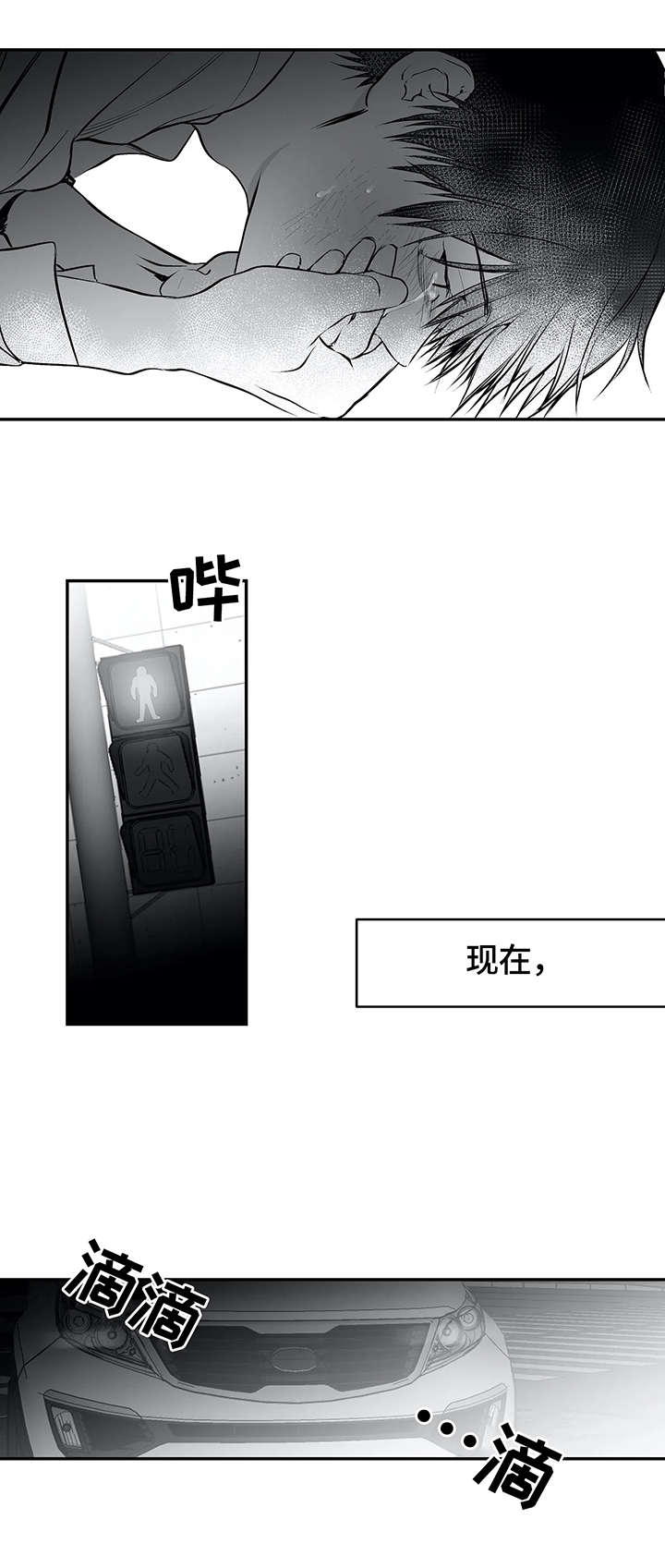 拳击手第24话图