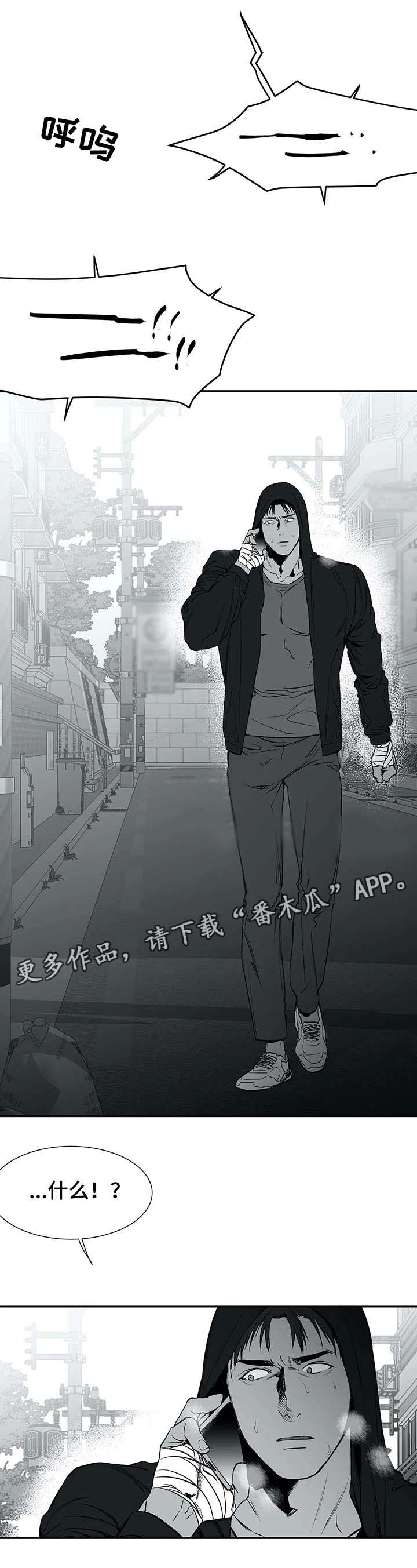 拳击手第28话图