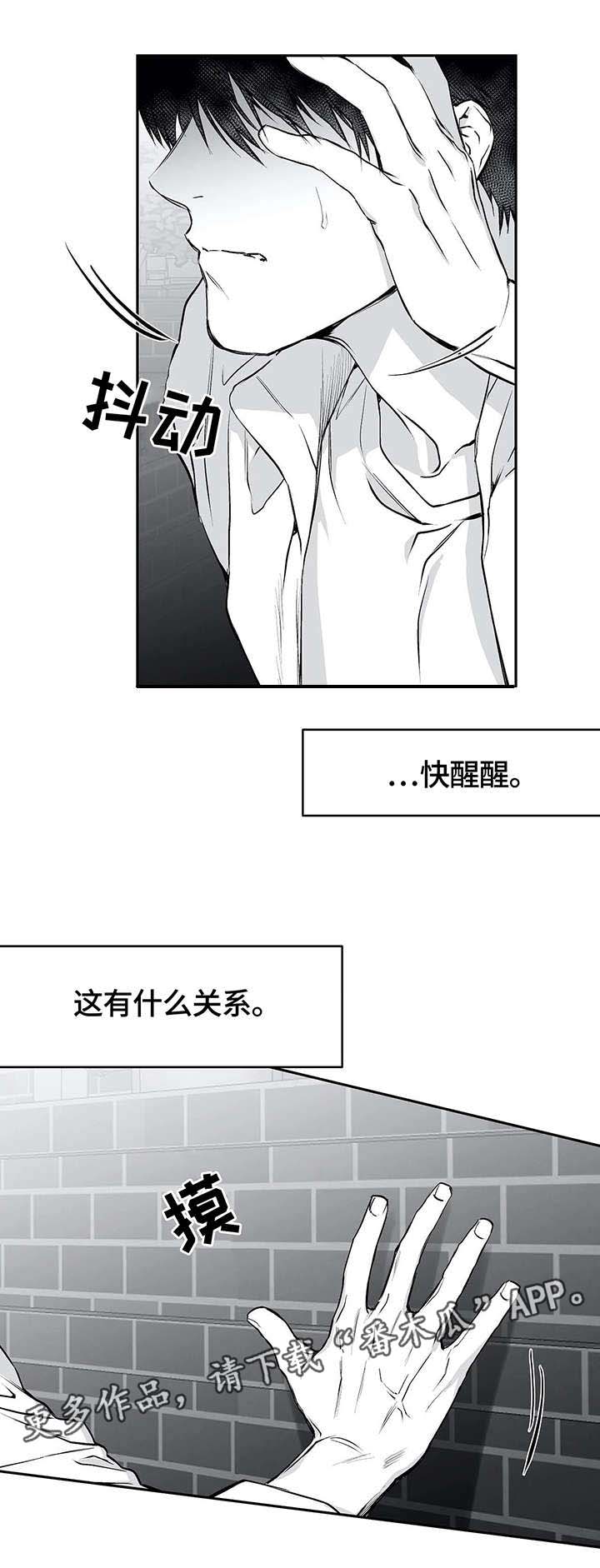 拳击手第32话图