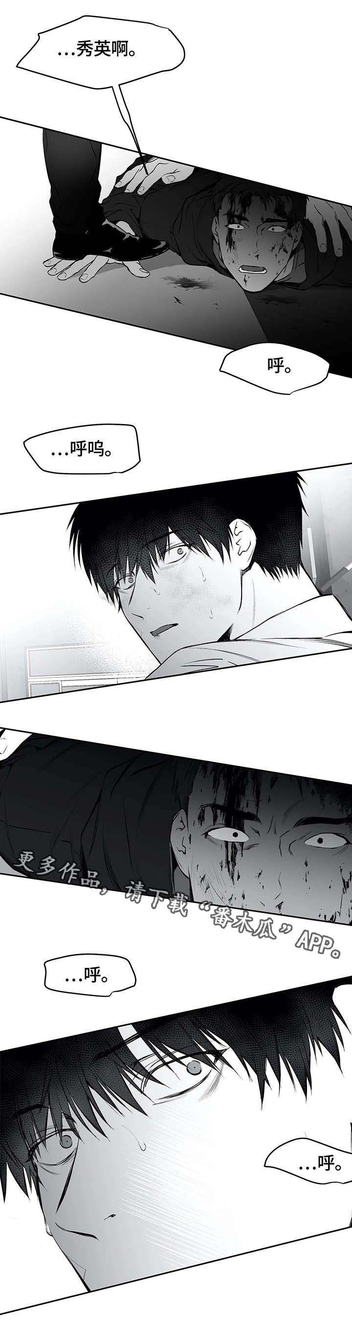 拳击手第33话图