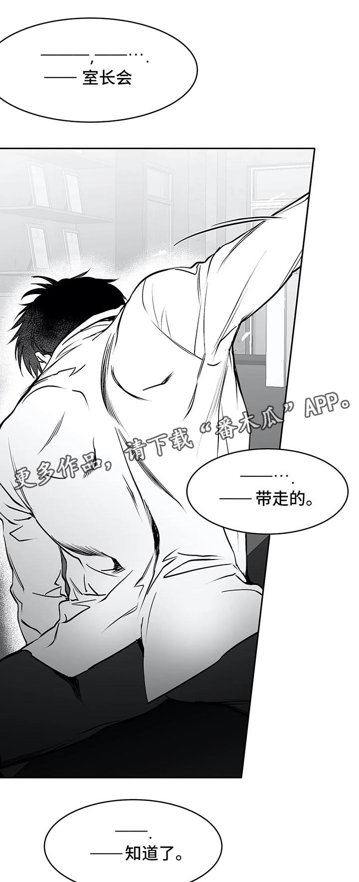 拳击手第35话图