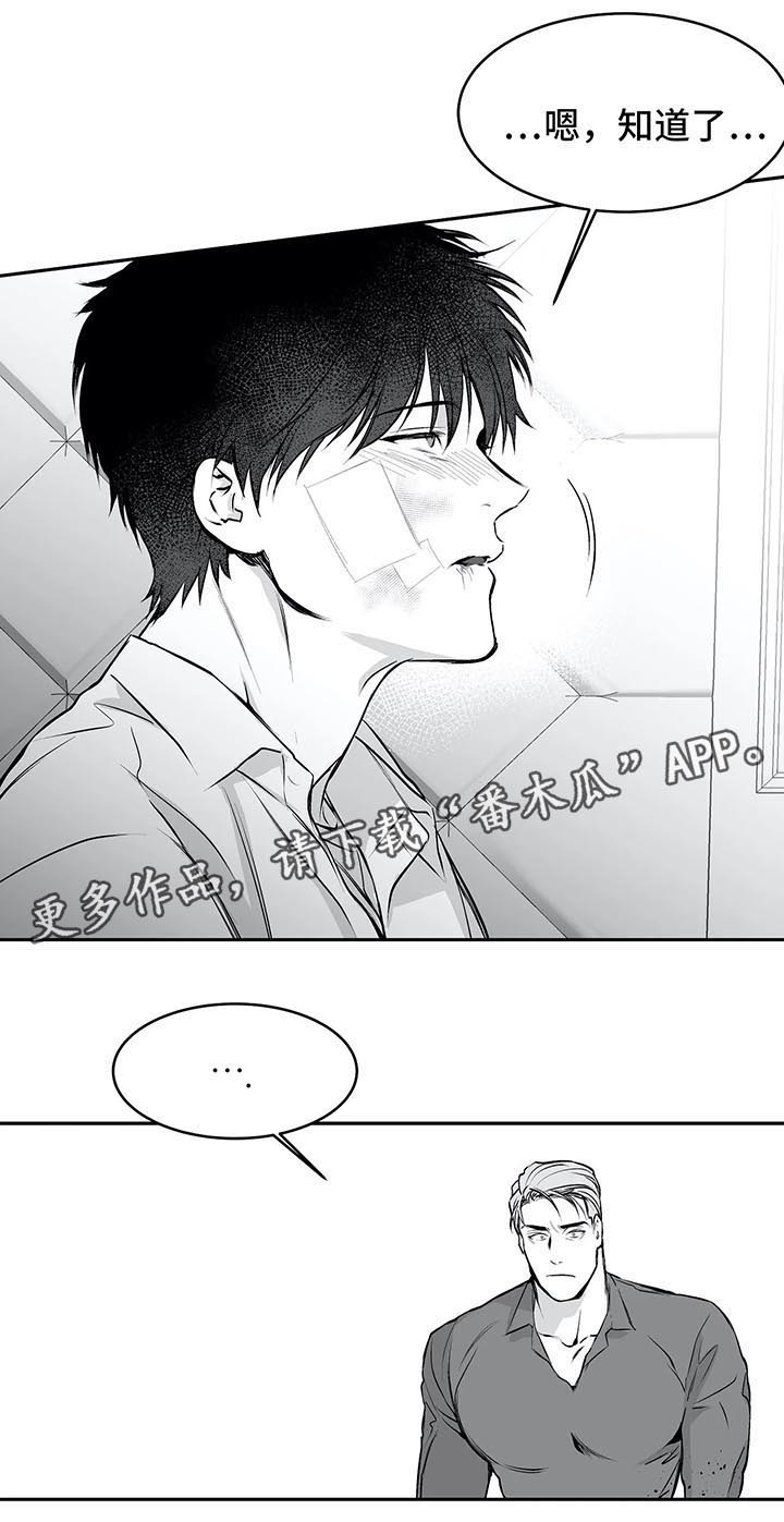 拳击手第35话图