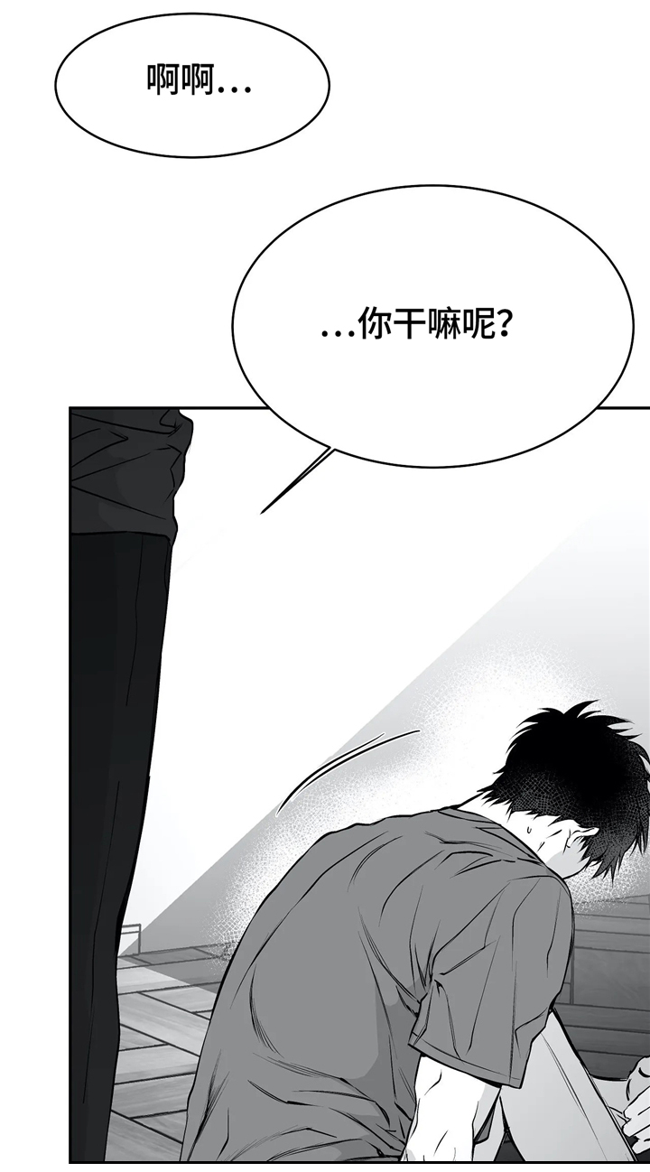 拳击手第38话图