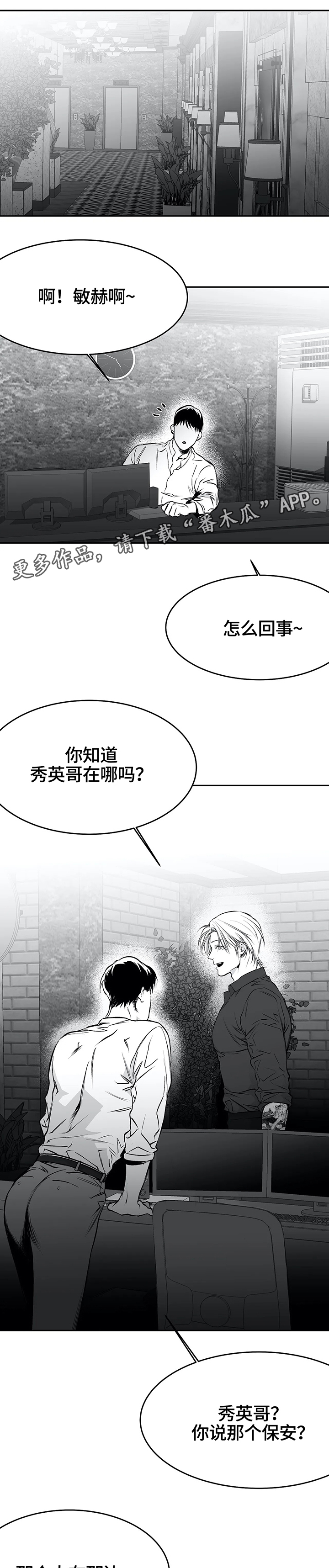 拳击手第40话图