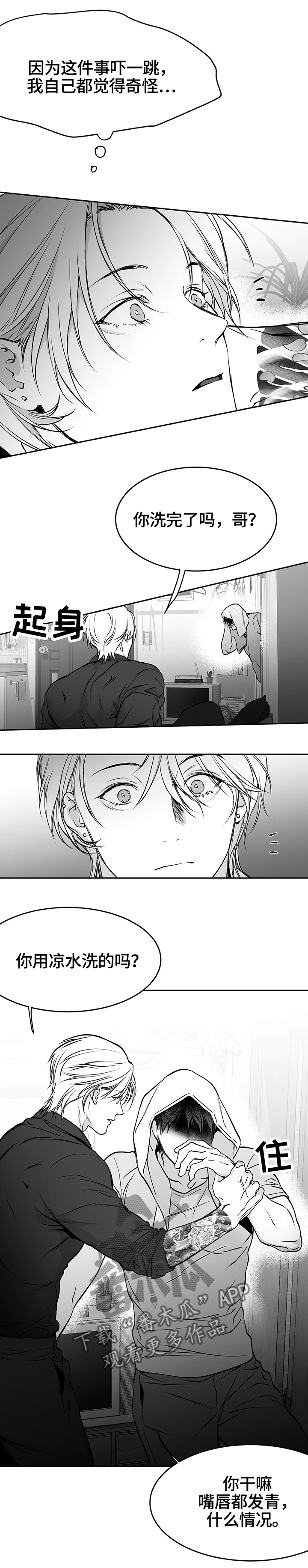 拳击手第44话图