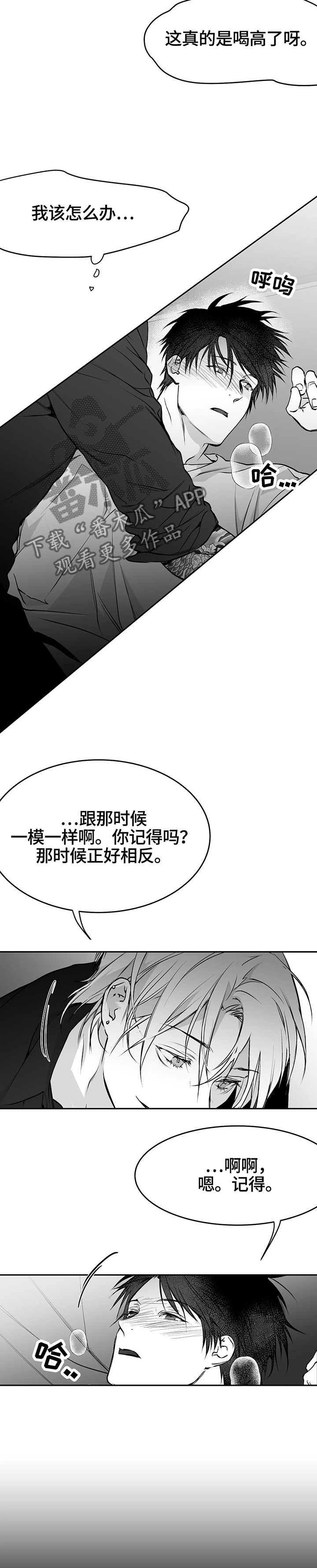 拳击手第44话图