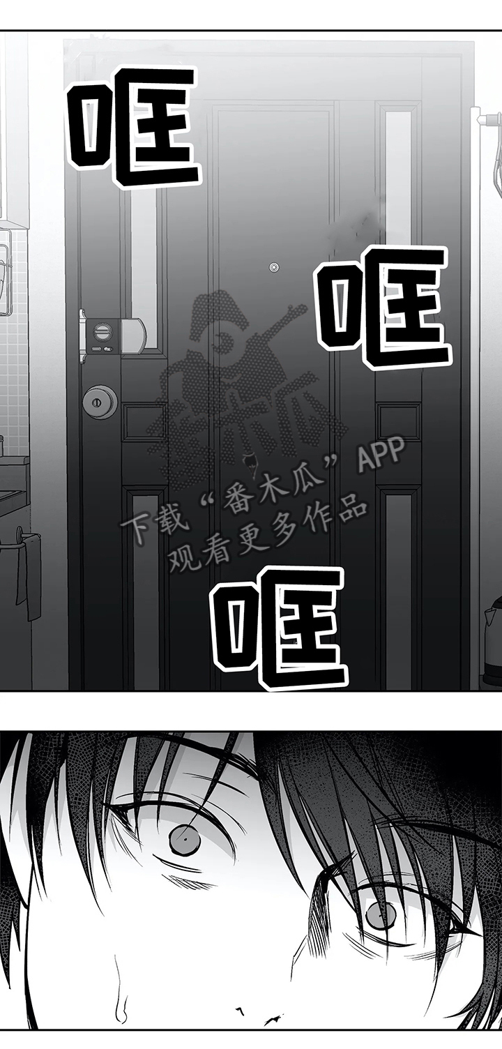 拳击手第49话图