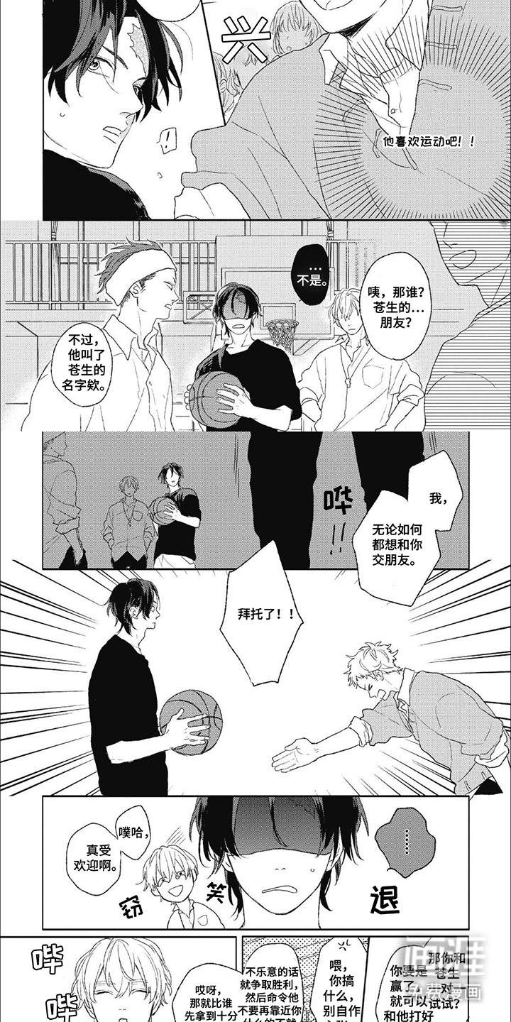 丘比特爱情第4话图