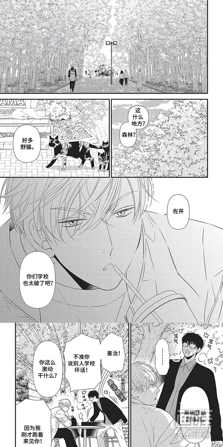 亲爱的喵喵第1话图