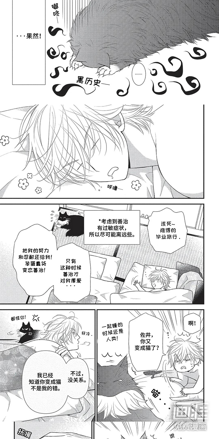 亲爱的喵喵第10话图