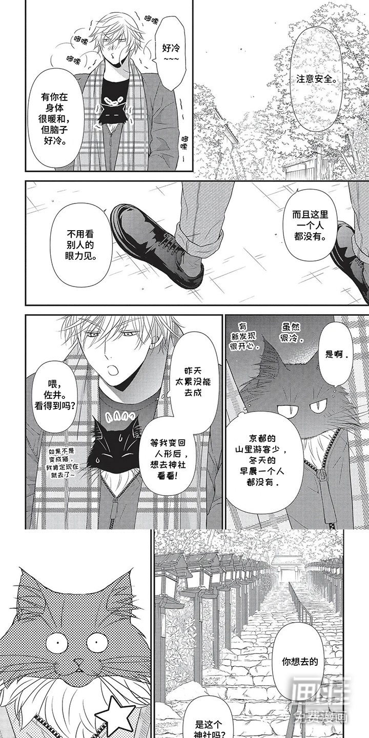 亲爱的喵喵第16话图