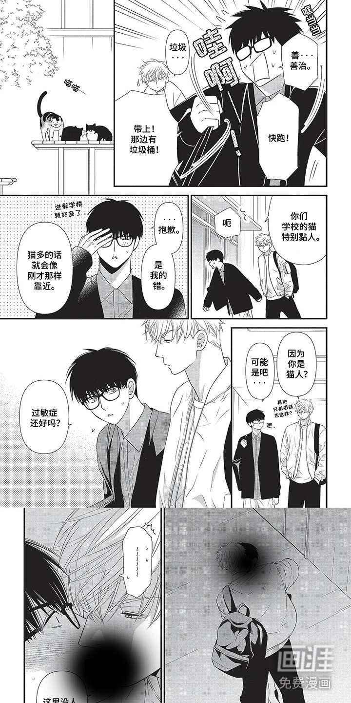 亲爱的喵喵第3话图