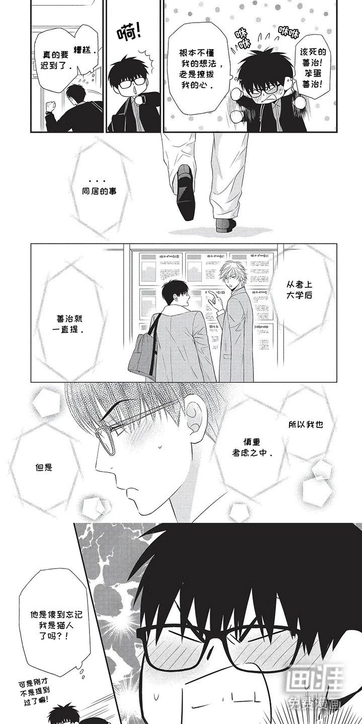 亲爱的喵喵第4话图