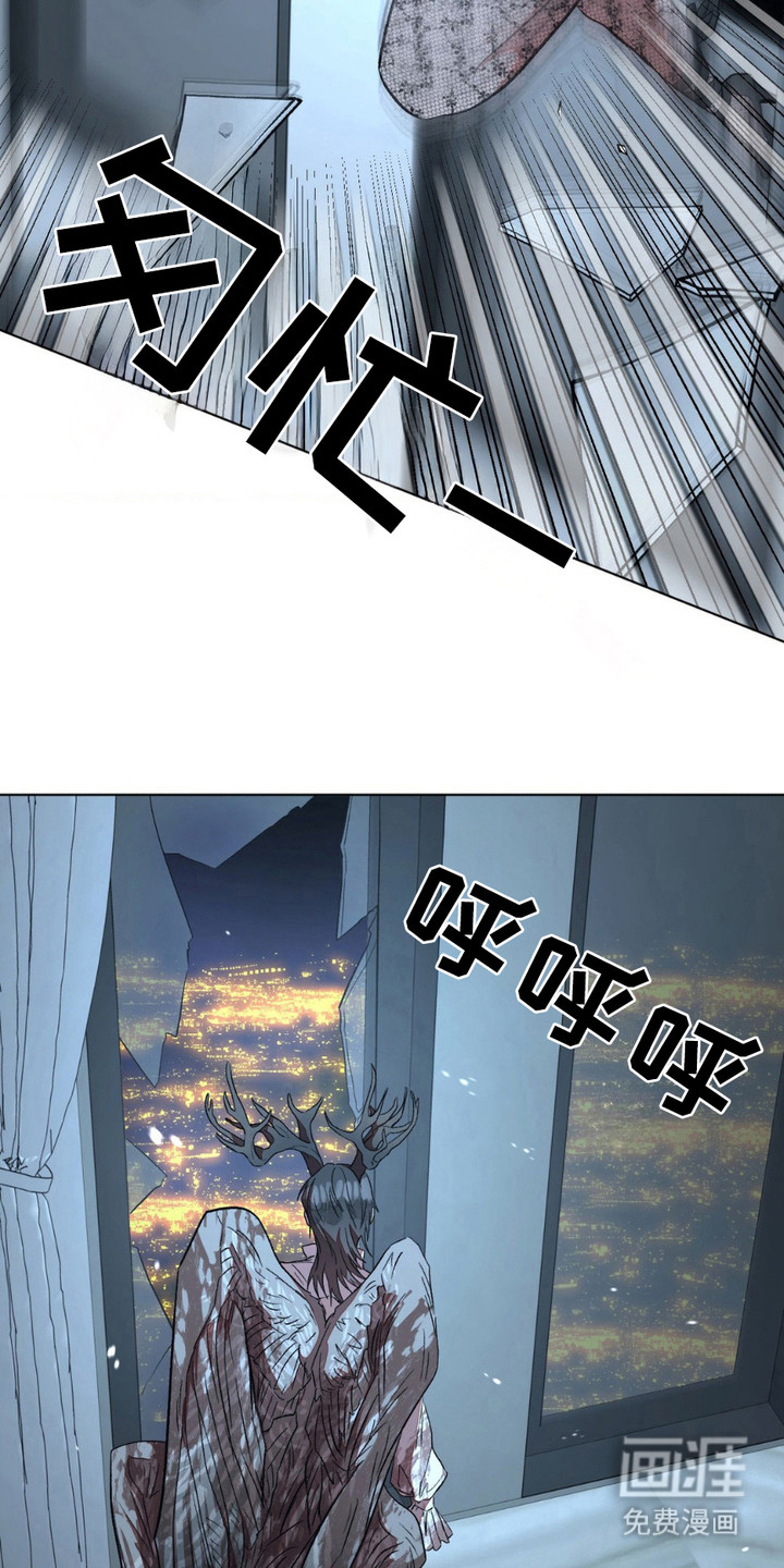 强制的爱意第6话图