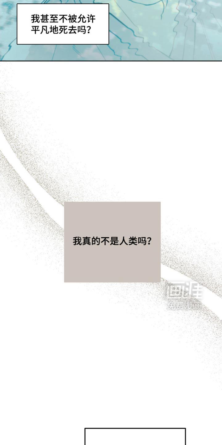 前世的祈愿第20话图