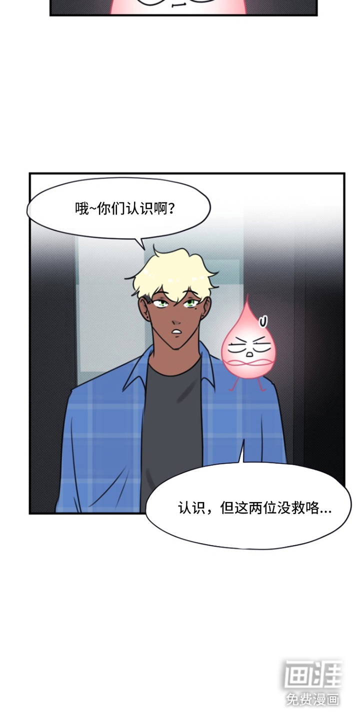 丘比特的诅咒 第12话 第12页