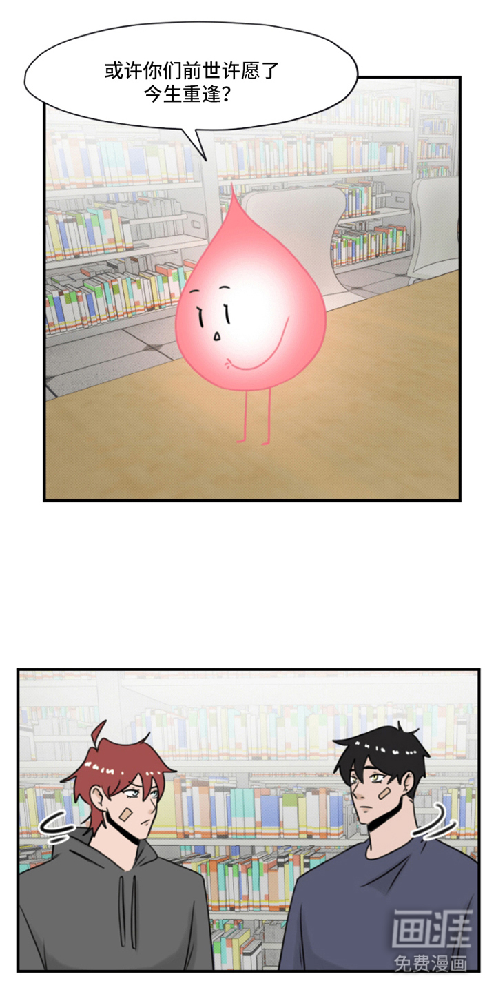 丘比特的诅咒 第14话 第7页