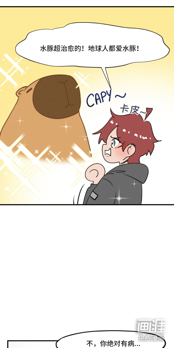 丘比特的诅咒 第14话 第12页