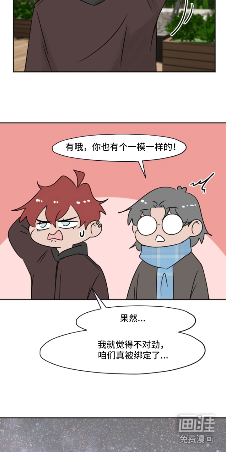 丘比特的诅咒 第4话 第15页