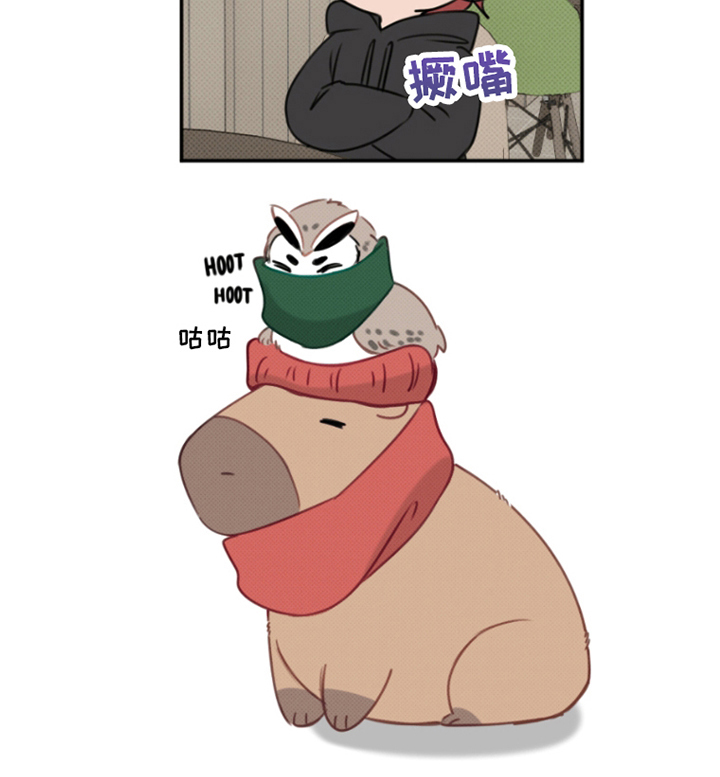 丘比特的诅咒第5话图