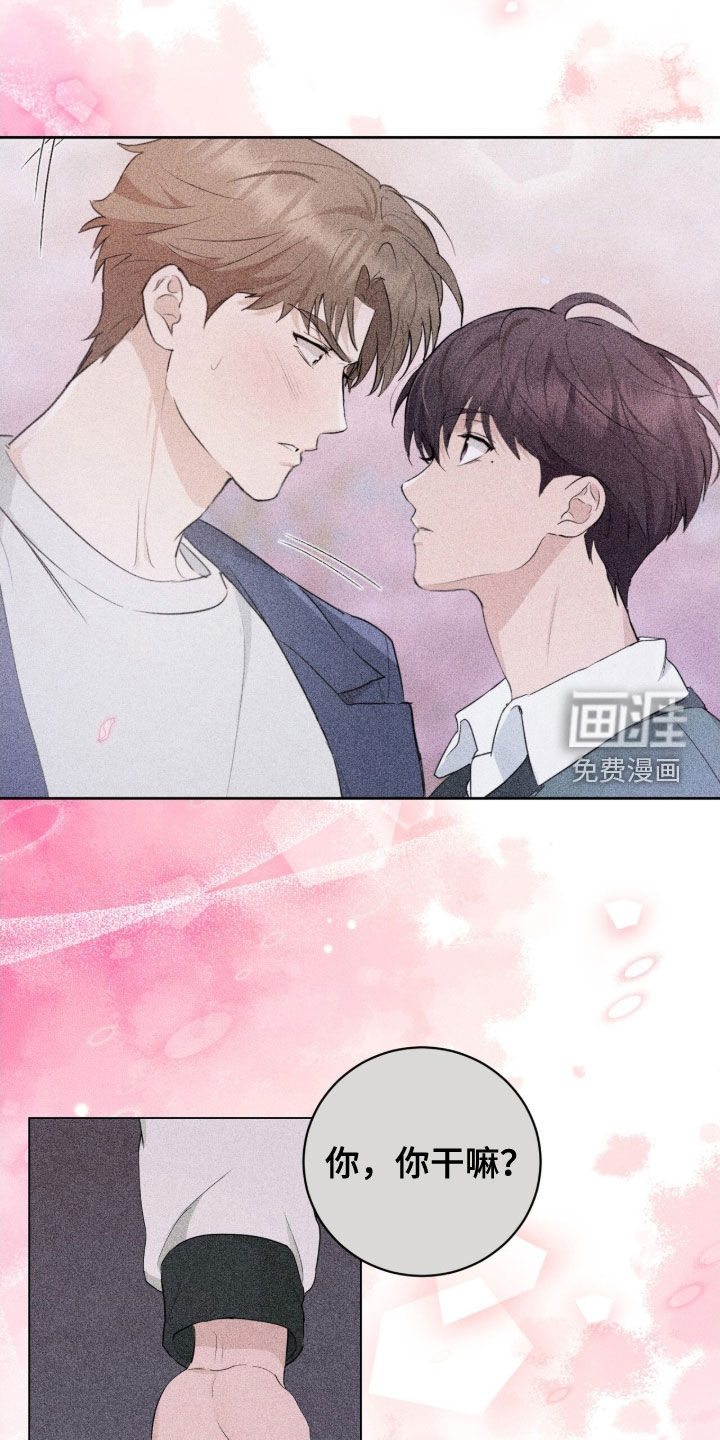 强制社交实验第25话图