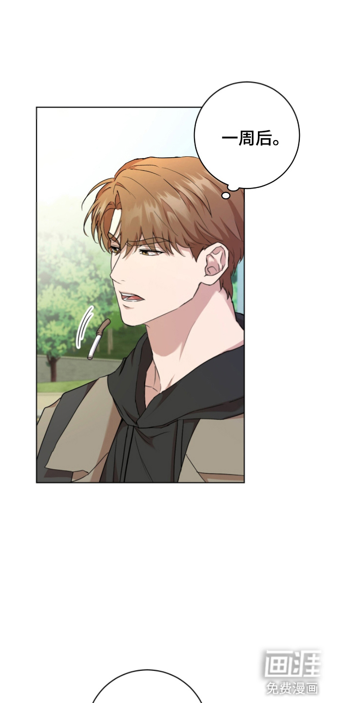 强制社交实验第3话图