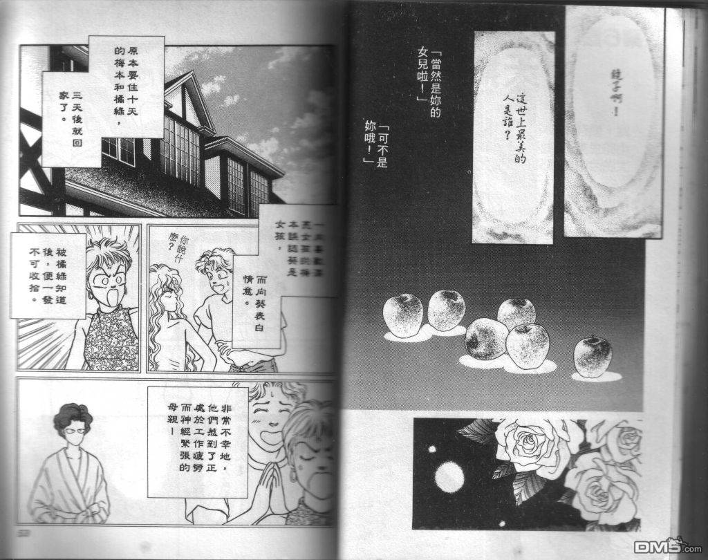 蔷薇之恋第2卷图